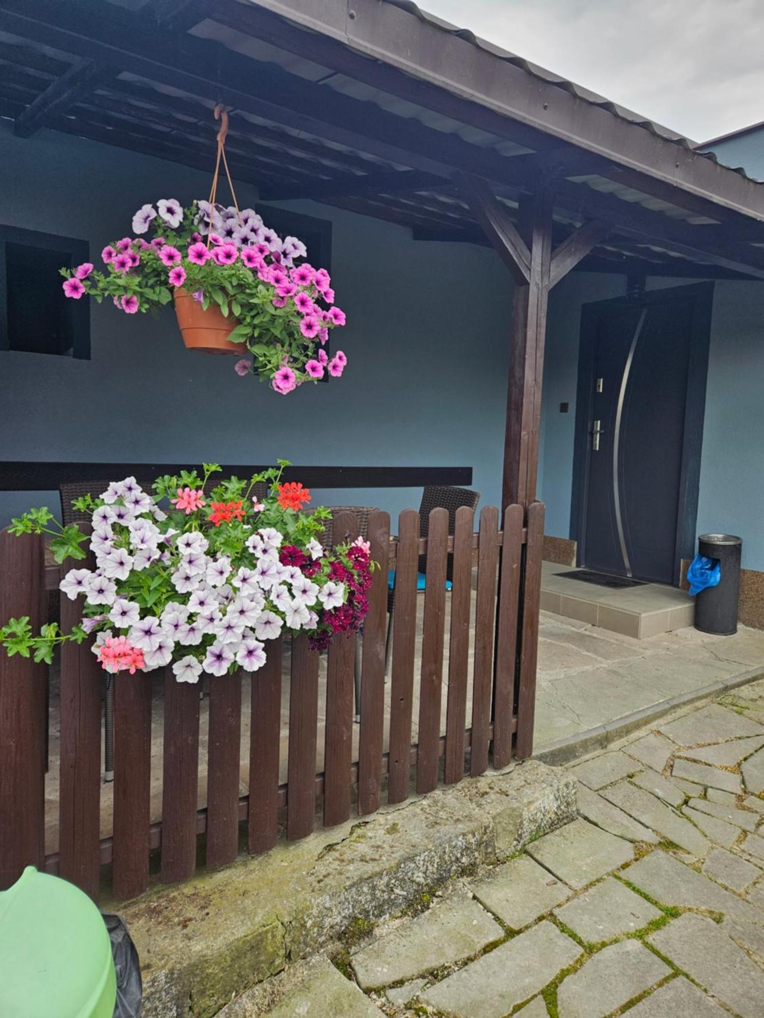 Areal Pauli Hotel เชสกา สกาลิเซ ภายนอก รูปภาพ